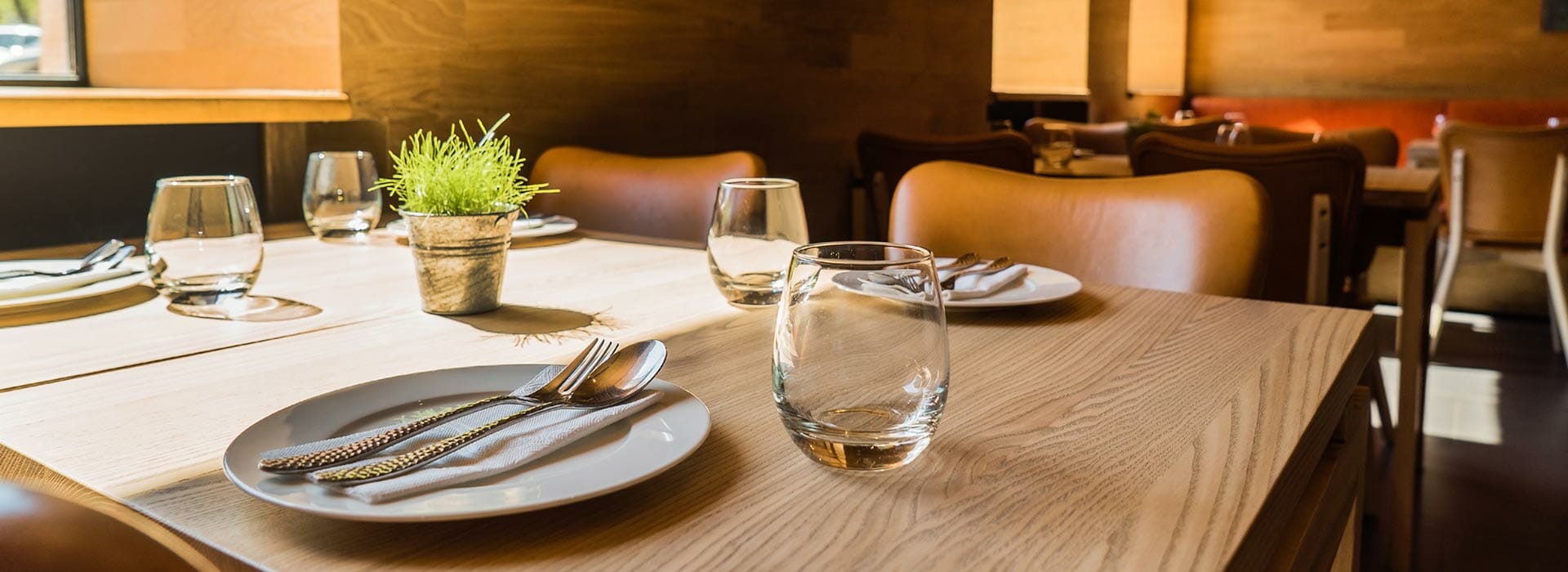 EcoRisto, una spinta in più al tuo ristorante!